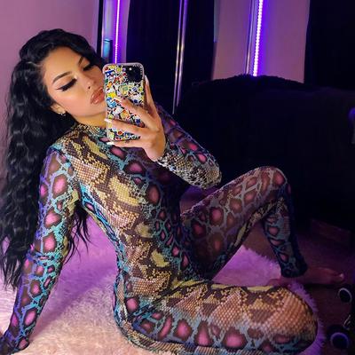 Women Sexy Mesh Flocking Snake Print Long Sleeved See Through Jumpsuit