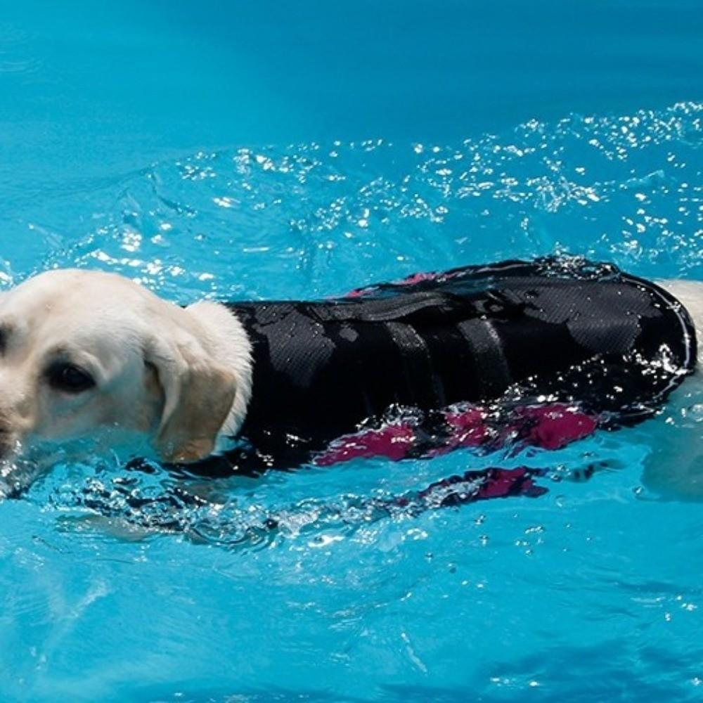 Adjustable Pet Safety Vest Enhanced Buoyancy Dog Swimming Suit Outdoor Activities