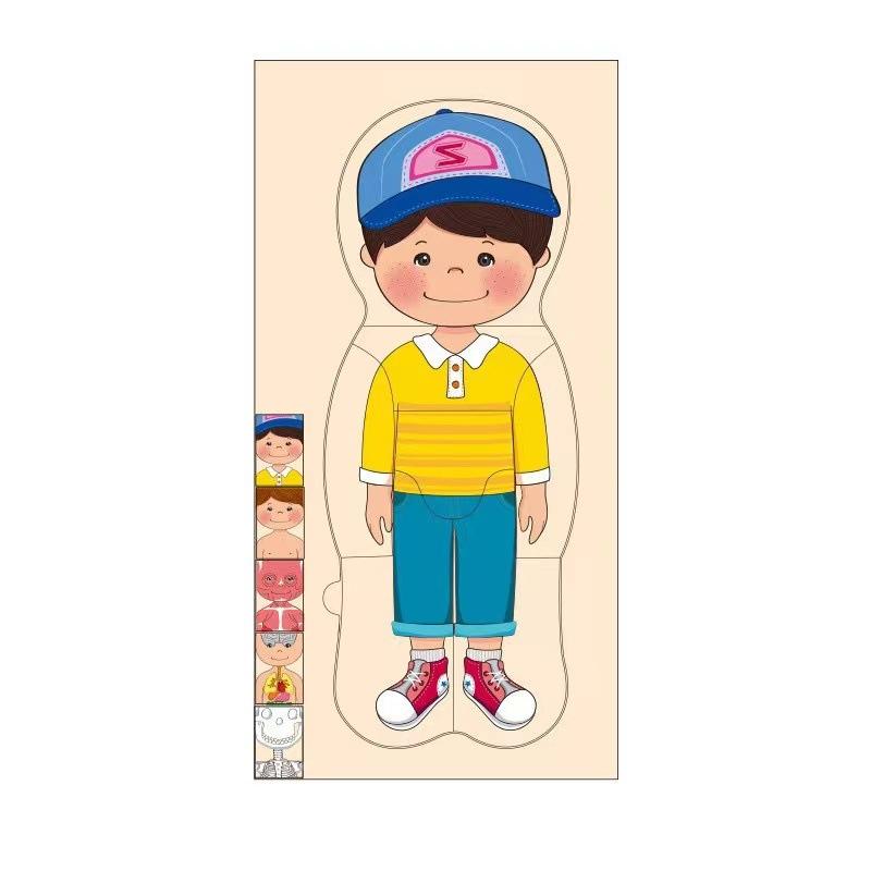 Children's Early Education Characters Body Organ Structure Cognitive Puzzle Brain Multi-Layer Development Wooden Toys
