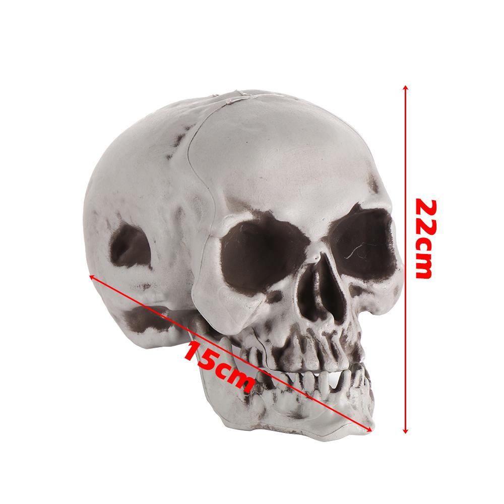 All Size Terrible Human Skeleton Skull Head Halloween Props Skeleton for Bars/Coffee Bars/Haunted Houses/Halloween Party Decor