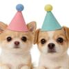 6pcs Pet Party Hat Colorful Mini Party Hats for Stuffed Animals Pet- Assorted Birthday Hats for Doll Dogs Cats Rabbits Puppies