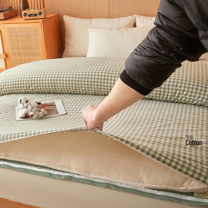Oeny Thickened Xinjiang Cotton Spring/Autumn Duvet Insert