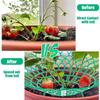 Erdbeerpflanzen-Stütze mit 3 stabilen Füßen, Gartenblumen-Frucht-Gemüse-Wachständer, Pflanzenständer-Schutz für Balkon & Außenbereich, Gartenzubehör