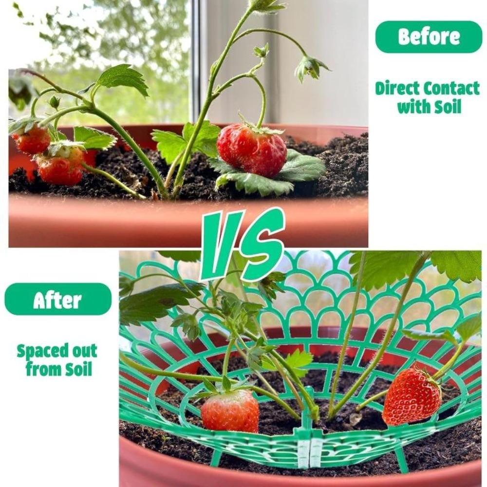 Erdbeerpflanzen-Stütze mit 3 stabilen Füßen, Gartenblumen-Frucht-Gemüse-Wachständer, Pflanzenständer-Schutz für Balkon & Außenbereich, Gartenzubehör