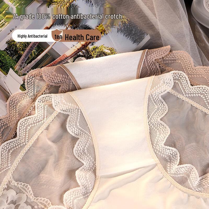 Langsha Plus Size Women's Sexy Lace French Briefs (3-Pack)