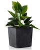 Donica Flore Czarny Beton H25X25 Cm