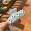 Creative Acetate Hair Gripper Flower Heart Series Fashion Headdress Shark Hair Claw Hair Accessories Hair Grasp Party