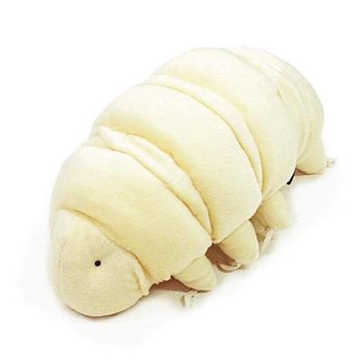 The Strongest Creature Dudarjanyamamakumushi Plush Toy L Beige 7562