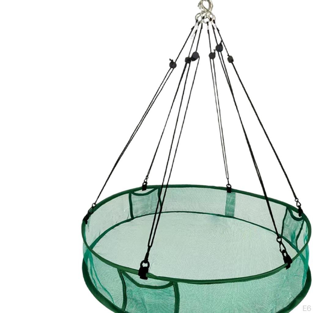 Bird Catcher Hanging Hoop Station Tray