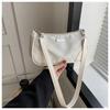 Stylish 2033 Winter Fashion Bag For Women Street Fashion Canvas Shoulder Bag