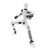 Model Doll Movable Robot Multi-Jointed Shapeshift Robot 3D Printed Mannequin  Collection Toy