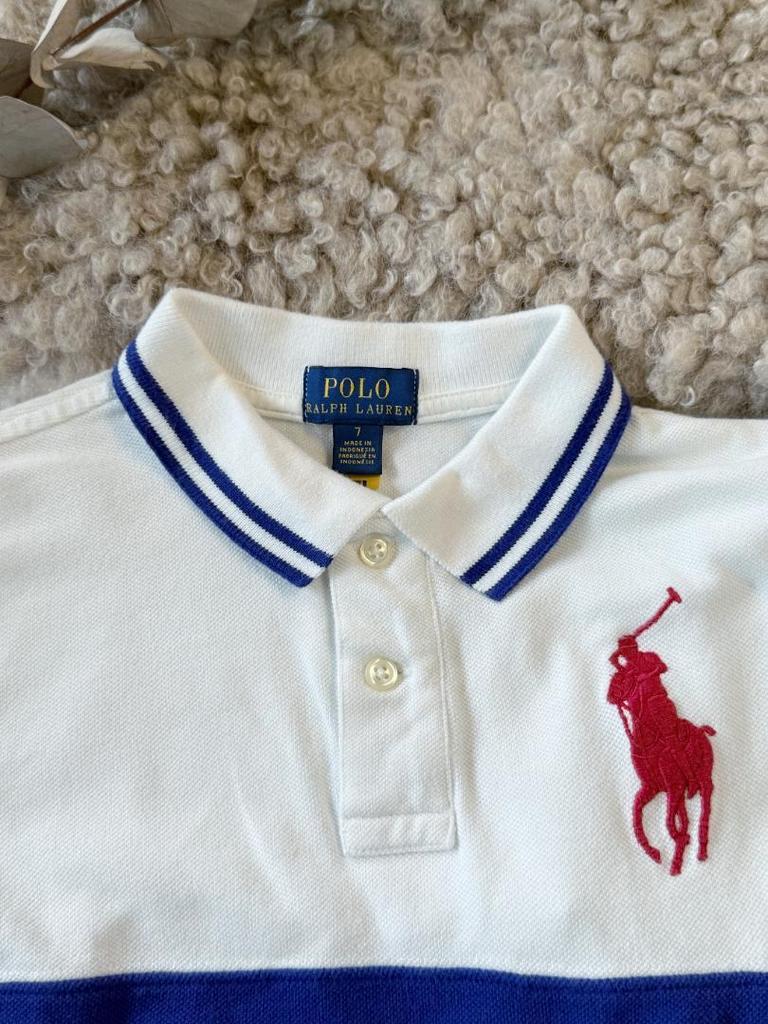 [USED] Ralph Lauren Polo Shirt, White Navy Big Pony Embroidery, Navy, Set of 2
