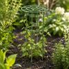 2 Pieces Coated Plant Trellis Rust-Resistant Iron Support with Pointed