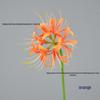 Lycoris Radiata Künstlicher Stiel für Bühnen- und Studio-Dekoration