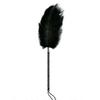 Unisex Feather Stick Adult Toy - Discreet Alternative