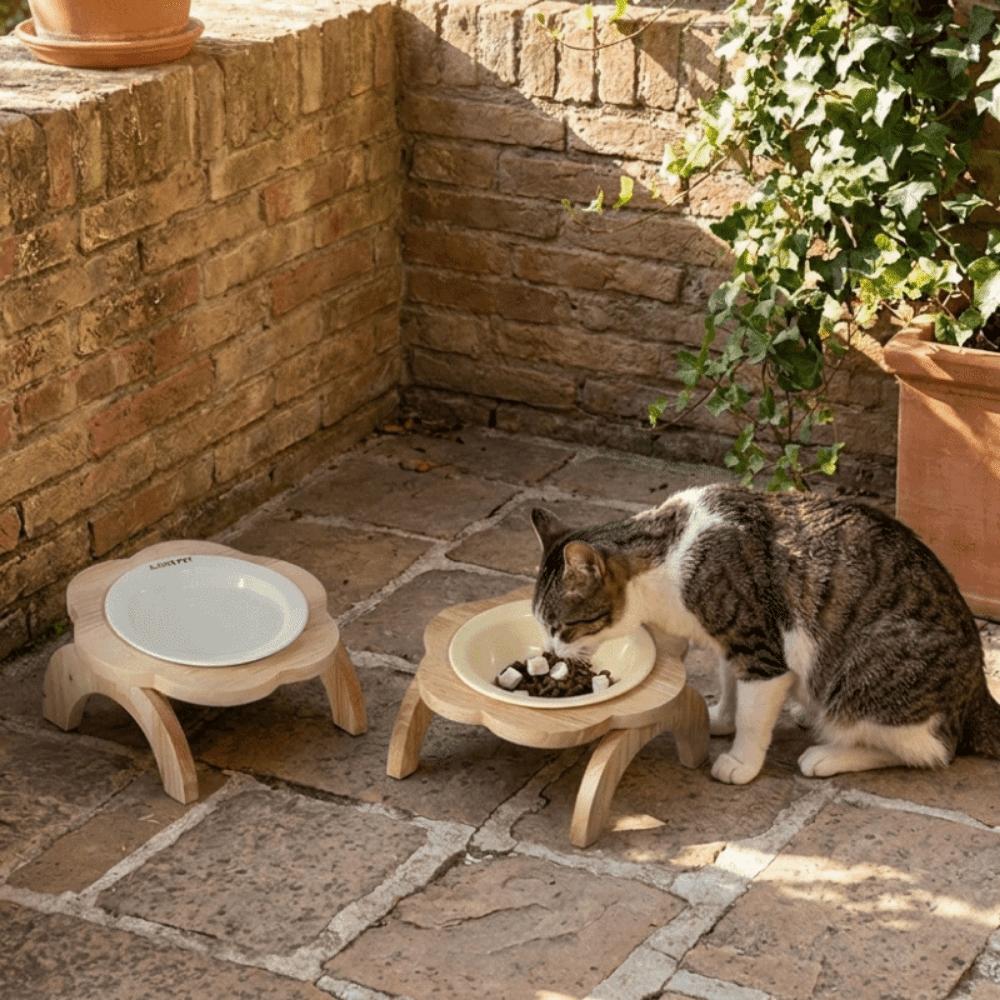 Ceramic Elevated Cat Bowl Anti-Spill Raised Cat Food Bowl Flower Shaped Pet Bowl  Neck Protection