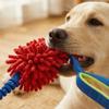 Relief And Entertainment Chewable Plush Pet Toy