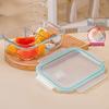ZISIZ 1040ml 3-Compartment Glass Lunch Box Set