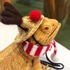 Bearded Dragon Santa Hat Cute Soft Scarf   Size Bright Colors   Santa Hat with Scarf