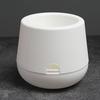 Self Watering Planter Pots with Water Reservoir for Small Indoor Plants