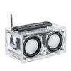 Dual-Channel Bluetooth Speaker Amplifier Kit with FM Light Spectrum