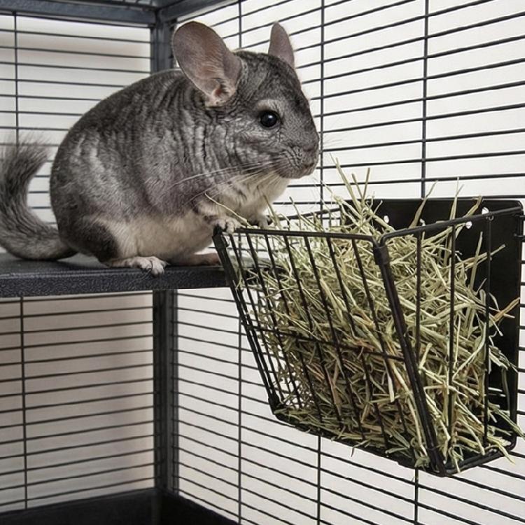 Professional Quality Hays Rack Rabbit Food Dispenser Grass Holder Rabbit Hays Feeders Rack for Goat Sheep