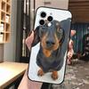 Phone Case Carcasa Funda For iPhone 17 Pro Max 17 Air 16 15 14 13 Pro Max 15 16 Pro 15Plus Dachshund Dog