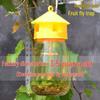 Upgraded Four-Hole Fruit and Melon Fly Trap Needle Bee Catcher