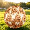 Sabrina Carpenter Size 5 Soccer Ball, Durable Standard Football For Training Match Outdoor Sports