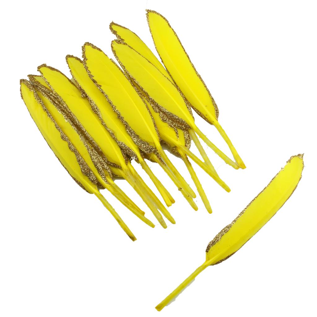 FeatherYellow Feathers for Crafts, 31 Styles Natural Pheasant, Rooster, Duck Feathers Bulk for Costume DIY, Fly Tying,Party Decoration