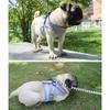 Reflective Pet Vest Breathable Mesh Adjustable Dog Harness Vest Leash Set Puppy Walking Supplies