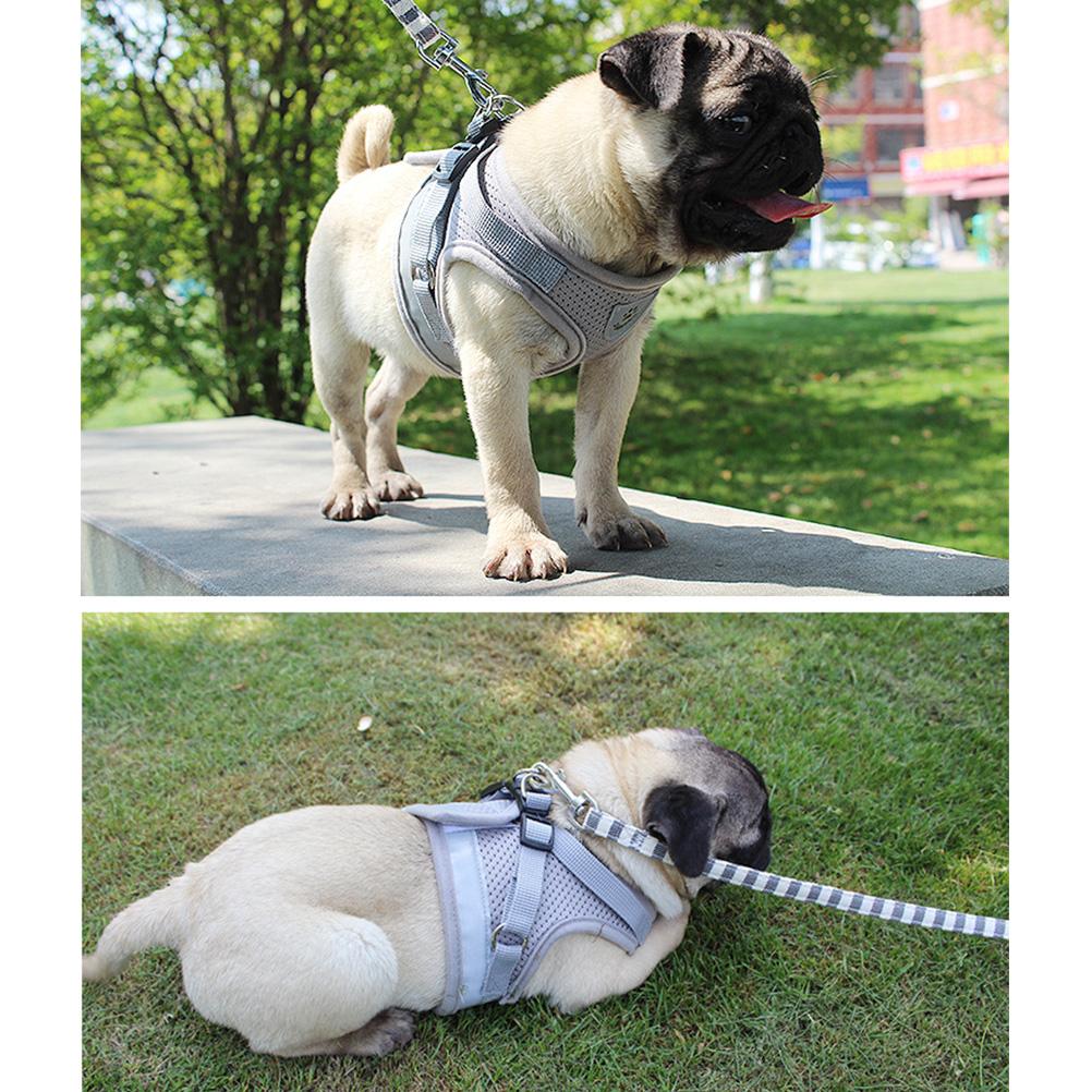 Reflective Pet Vest Breathable Mesh Adjustable Dog Harness Vest Leash Set Puppy Walking Supplies