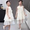 New Summer Dress for Girls with a Rich Family and a Sense of Beauty, Princess Dress, Summer Dress, Children's Dress