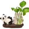 Desktop Glass Planter Vase Holder Small Cute Ceramic Panda Hydroponic Vase Decorative Flowers Plants Pot for Desk Table