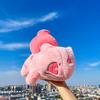 Pink Frog Seed Doll Pokémon Garlic Toad Large Frog Pillow Exchange Doll