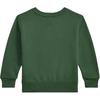 Polo Ralph Lauren Sweatshirt FW25 Crew Neck Knit Pullover Kids Kids sweatshirts 323981261-001