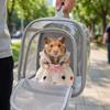 Soft Small Pet Bow Skirt Breathable Hamster Lace Skirt Guinea Pig Princess Dress  Birthday Party