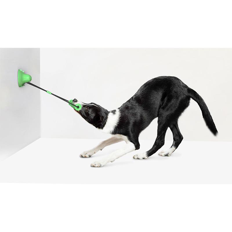 Hundespielzeug mit doppeltem Saugnapf und Kordelzug, Zähneknirschen und bissfester Zahnreinigungsstab, Heimtierbedarf