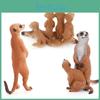 Mongoose Pvc Animal Replicas For Educational Use And Kids Gift Set