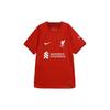Nike Liverpool Soccer Jersey Fan Edition Men's Dark Red (Unisex) Soccer Jerseys DM1843 609