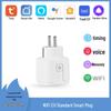 Graffiti European Standard Smart WiFi Socket with Remote Alexa & HomeKit Voice Control