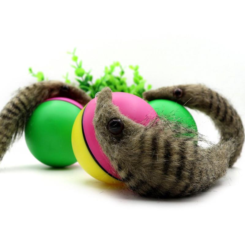 weasel cat toy