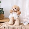 Handmade White Pet Princess Dress Small Dog Dress Pet Teddy Original Wedding Solid Colour Skirt Fashionable Dog Clothes