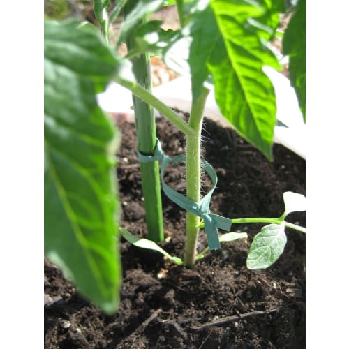 Takasho Green #128 Paper Tie, 2cm x 5