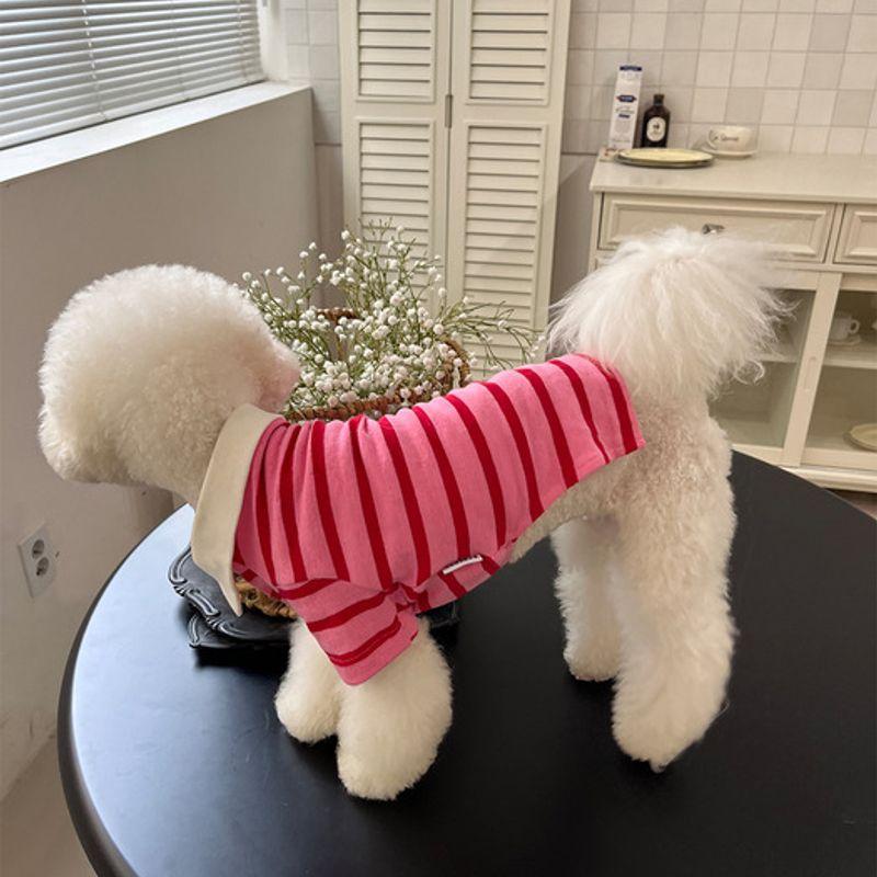 BARKDOG Vintage Rugby PK Carat M-6XL 3colors