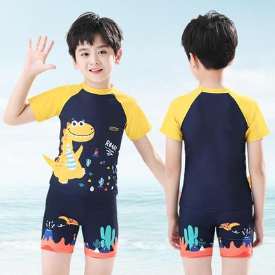 New Boys' Cartoon Two-Piece Swimsuit: Sun-Protective, Quick-Dry Swimwear for Summer