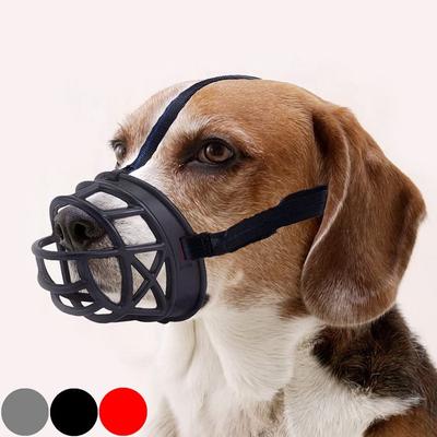 Köpek – Eğitim ve Öğretim Araçları