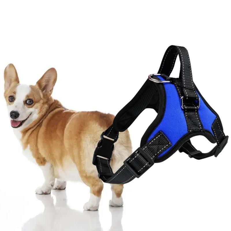 Premium 600d Oxford Fabric Dog Chest Harness With Comfortable Sponge Padding