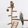 Pepper wood parrot platform parrot climbing net climbing training station climbing ladder swing bird toy suspension bridge