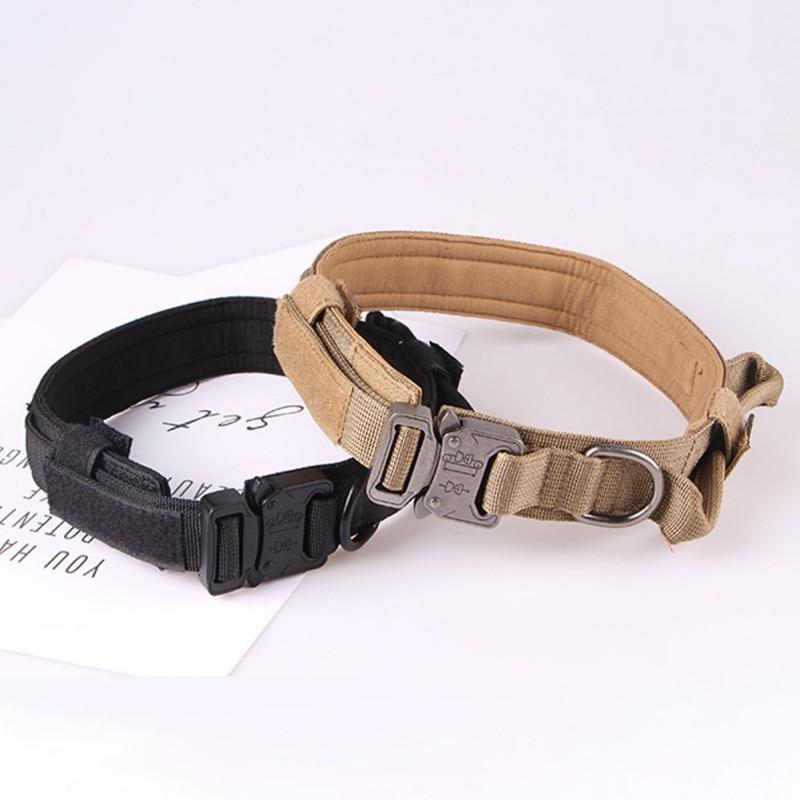 cool small dog collars